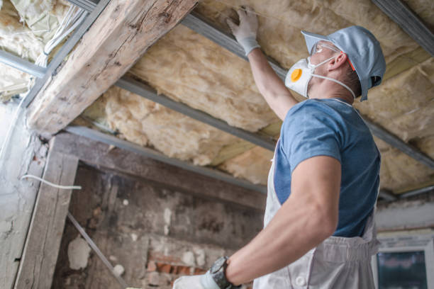 Best Attic Insulation Installation  in Imperial, MO