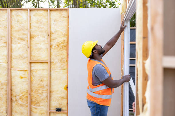 Best Insulation Removal Services  in Imperial, MO