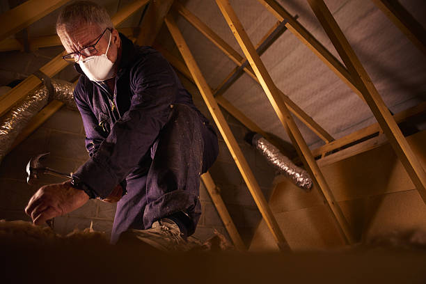 Best Insulation Replacement Services  in Imperial, MO